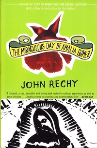 Abbildung von: The Miraculous Day of Amalia Gomez - Grove Press / Atlantic Monthly Press