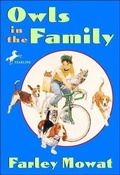 Cover: Owls in the Family - Perfection Learning