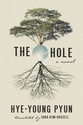 Cover: The Hole - Arcade Publishing