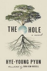 Enlarge image Cover: The Hole - Arcade Publishing