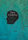 Cover: Zero Visibility - Phoneme
