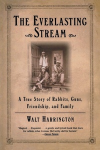 Enlarge image Cover: The Everlasting Stream - Grove Press / Atlantic Monthly Press