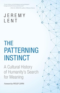 Enlarge image Cover: The Patterning Instinct - Prometheus Books
