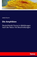 Cover: Die Amphibien - Hansebooks