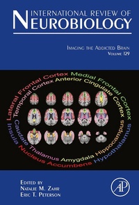 Bild: Imaging the Addicted Brain - Academic Press