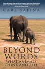 Cover: Beyond Words - Souvenir Press Ltd