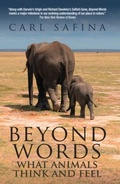 Cover: Beyond Words - Souvenir Press Ltd