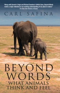 Enlarge image Cover: Beyond Words - Souvenir Press Ltd