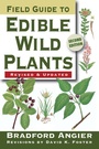 Cover: Field Guide to Edible Wild Plants - Stackpole Books