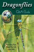 Cover: Dragonflies: Q&A Guide - Stackpole Books