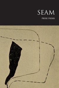 Enlarge image Cover: Seam - Recent Work Press