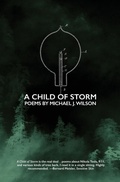 Cover: A Child of Storm - Stalking Horse Press