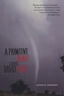 Cover: A Primitive Heart - Grove Press / Atlantic Monthly Press