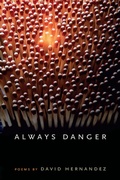 Cover: Always Danger - Southern Illinois University Press