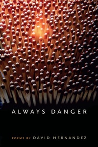 Enlarge image Cover: Always Danger - Southern Illinois University Press
