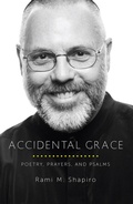 Cover: Accidental Grace - Paraclete Press