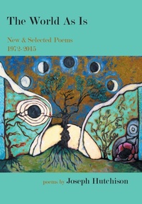 Enlarge image Cover: The World As Is - NYQ Books