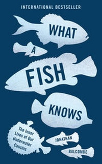 Enlarge image Cover: What a Fish Knows - Oneworld Publications