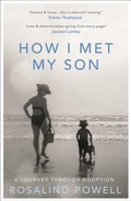 Cover: How I Met My Son - BLINK Publishing