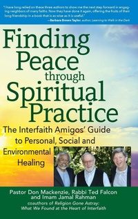 Enlarge image Cover: Finding Peace through Spiritual Practice - SkyLight Paths Publishing,US