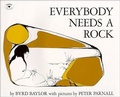 Cover: Everybody Needs a Rock - Perfection Learning