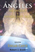 Cover: Angeles, Arcangeles y Fuerzas Invisibles - Libros Illuminados