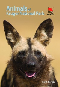Abbildung von: Animals of Kruger National Park - Princeton University Press