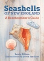 Cover: Seashells of New England - Globe Pequot Press