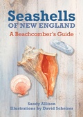 Cover: Seashells of New England - Globe Pequot Press