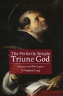Cover: Perfectly Simple Triune God - Fortress Press
