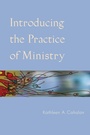 Cover: Introducing the Practice of Ministry - Liturgical Press