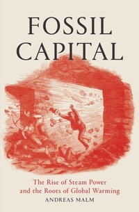 Enlarge image Cover: Fossil Capital - Verso Books