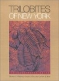 Cover: Trilobites of New York - Comstock Publishing Associates