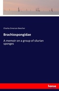 Cover: Brachiospongidae - Hansebooks