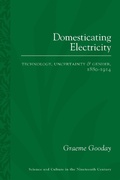 Cover: Domesticating Electricity - United Methodist Publishing House
