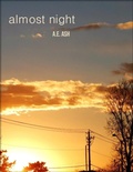 Cover: Almost Night - Lulu.com