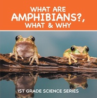 Abbildung von: What Are Amphibians?, What & Why : 1st Grade Science Series - Baby Professor