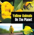 Cover: Yellow Animals On The Planet - Baby Professor