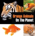 Cover: Orange Animals On The Planet - Baby Professor