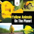 Bild: Yellow Animals On The Planet - Baby Professor