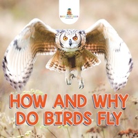 Bild: How and Why Do Birds Fly - Baby Professor