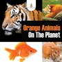 Cover: Orange Animals On The Planet - Baby Professor
