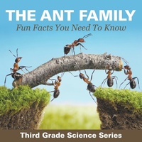 Bild: The Ant Family - Fun Facts You Need To Know - Baby Professor