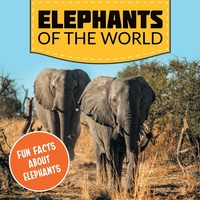 Bild: Elephants of the World - Baby Professor