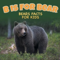 Bild: B is for Bear - Baby Professor