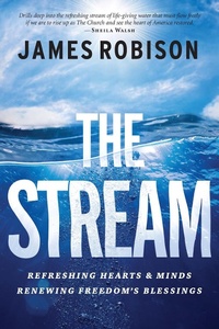 Enlarge image Cover: The Stream - Hachette Nashville