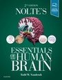 Cover: Nolte's Essentials of the Human Brain - Elsevier