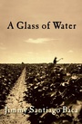 Cover: A Glass of Water - Grove Press