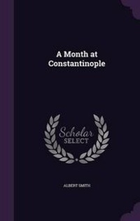 Abbildung von: A Month at Constantinople - Palala Press