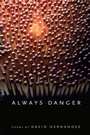 Cover: Always Danger - Southern Illinois University Press